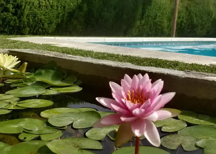 Fuente De La Higuera Casa vacanze *