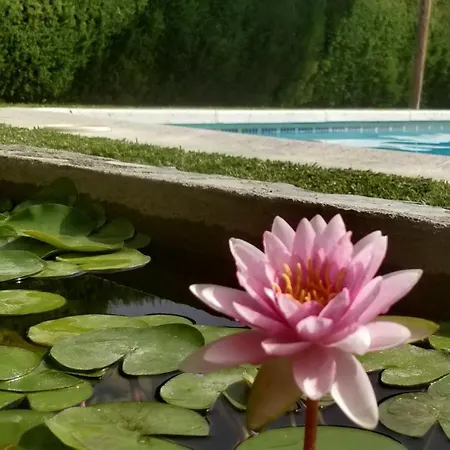 Fuente De La Higuera Сasa de vacaciones *